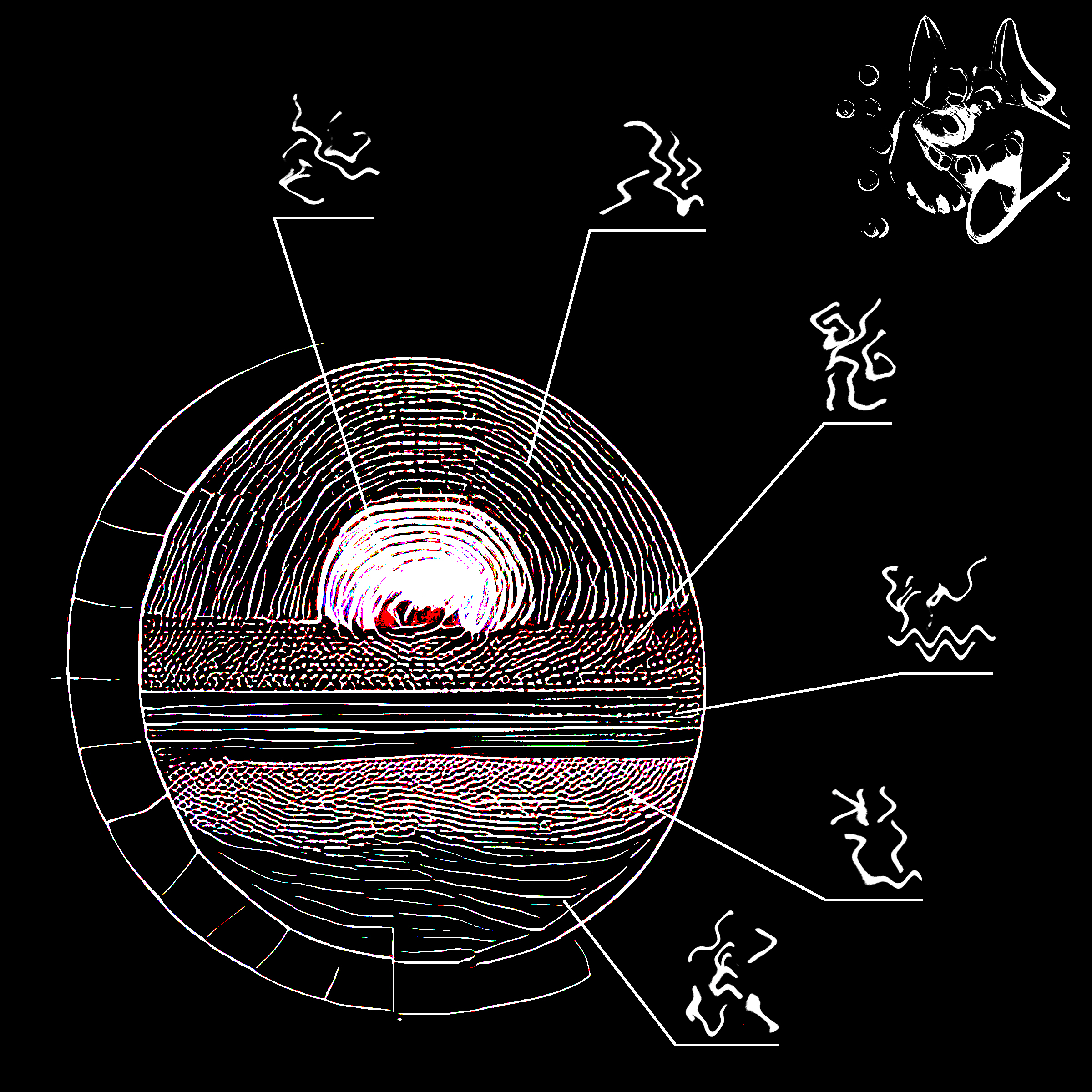 album cover of Corecore by First Dog