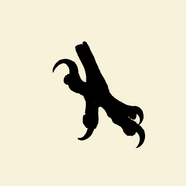 album cover of Landing by First Dog