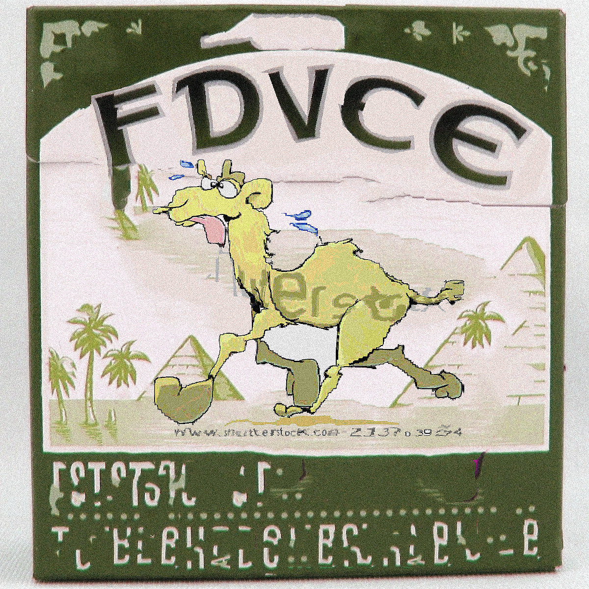 album cover of Camel 2 by First Dog