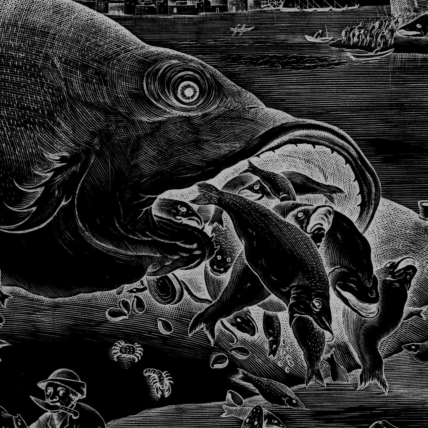 album cover of Bonito by Dug Alcedo