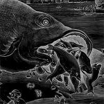 album cover of Bonito by Dug Alcedo